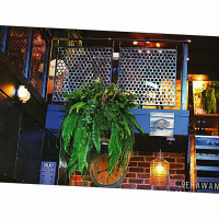 Sabiang Thai outside