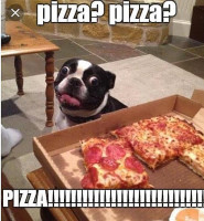 Dom's Pizza Parlour food