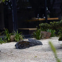 Yáng Míng Chūn Tiān Wén Chuàng Yuán Qū outside