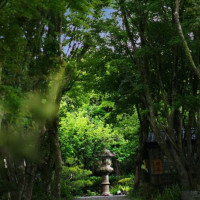 Yáng Míng Chūn Tiān Wén Chuàng Yuán Qū outside