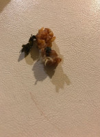 Rakushoku Fujita food