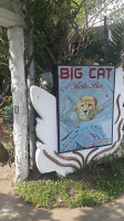 Bigcat Bistro outside