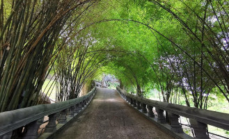 ร้านอาหารตามสั่ง ป้าสงวน