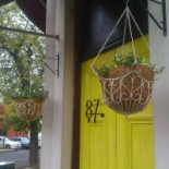 Woodside Green drink