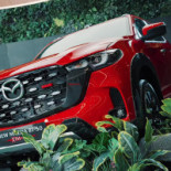 Little Sheep Hot Pot Cambodia The Park Community Mall drink