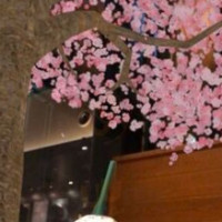 スターバックスコーヒー Jiè フェニックス Tōng り Lì Jīng の Dù Diàn food