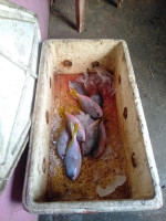 Warung Ikan Bakar Obat Pusing food