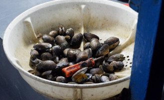 Kerang Rebus 65 food