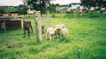 Tokanui Food Centre outside