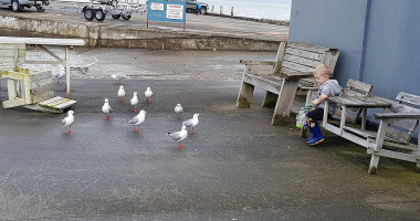 Plimmerton Boating Club outside