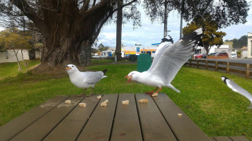 Indian Spice Kaitaia Takeaway outside