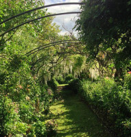The Orchard Garden outside