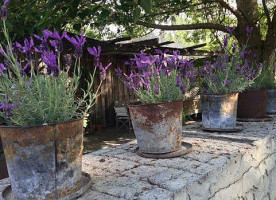 The Orchard Garden outside