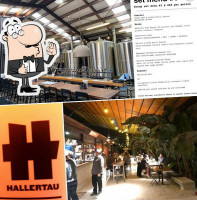 Hallertau Brewery guru