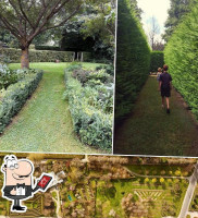 The Orchard Garden guru