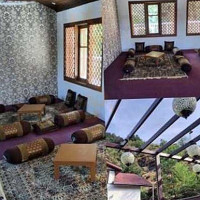 Golden Chinar inside