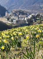 Sylvan Beach Seafood Cafe outside