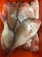 Fresh Fish Shack food