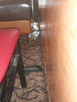 Sarai Aritraa inside