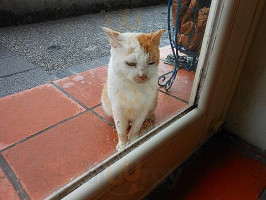 Hide And Seek Cafe drink