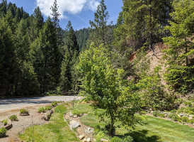 Treetop Tava outside