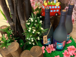 Cūn Rì Shì Liào Lǐ