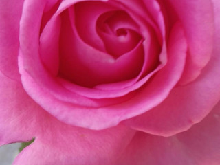 Shree Hari Kripa Restaurant Baran