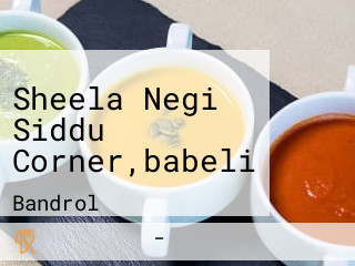 Sheela Negi Siddu Corner,babeli