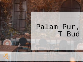 Palam Pur, T Bud