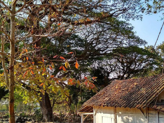 Warung Makan Sum