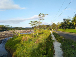 Rujak Cingur Tuplik