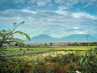 Soto Khas Semarang Tan Nyana 6