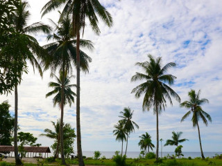 Resto Beby Indah Beach Jl Suli Tial P.ambon