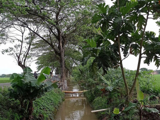 Warung Soto Mbah Man