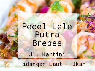 Pecel Lele Putra Brebes