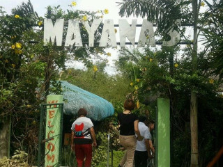 Mayana's Garden