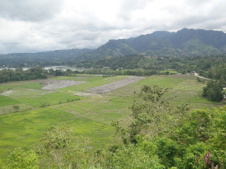 Evelandia Lake Vista