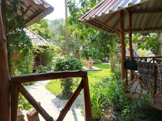 Jungle View