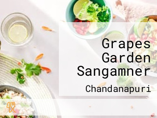 Grapes Garden Sangamner