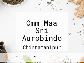 Omm Maa Sri Aurobindo