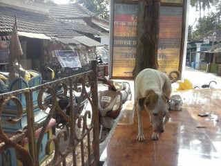 Jai Ganesh Fruit Juice Centre