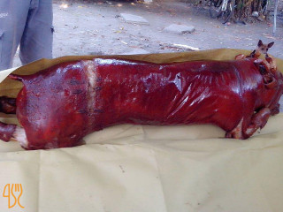 Vengay's Lechon