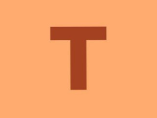 Tsog's Tuna Grill