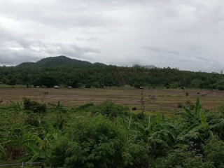 Thon Salawin Khun Yuam