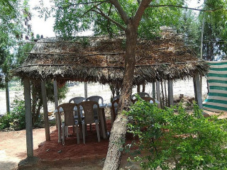 Srinu